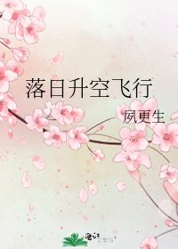 落日升空飞行